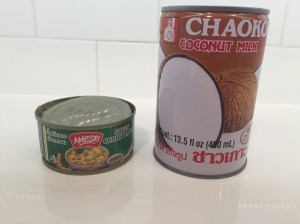 Green curry paste and coconut milk